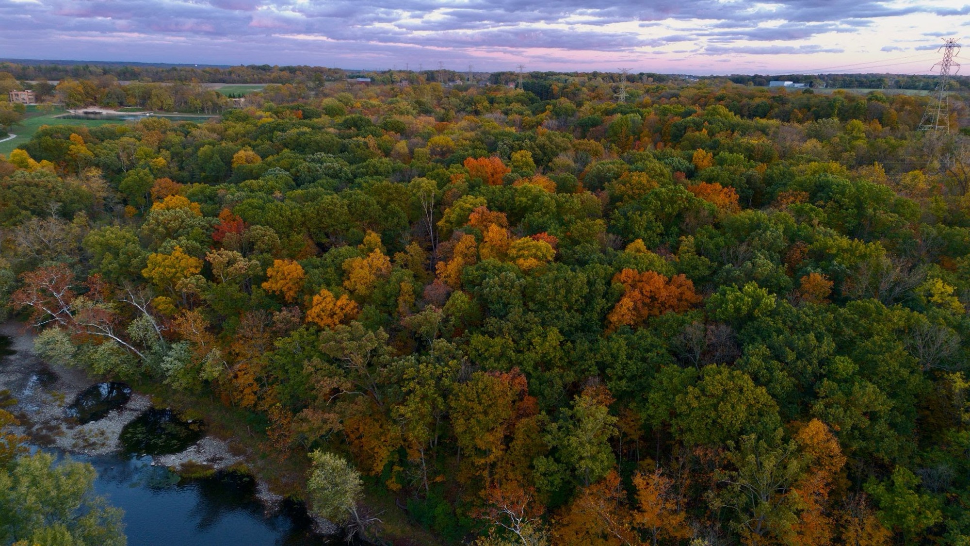 Fall foliage over a wooded creek at sunset